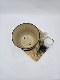 Image 2 of Black Cosmo Planter