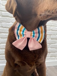 Image 6 of Cabana Beach Hut Stripe Bow Ties / Sailor Bows