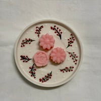 WAXMELTS ΠΟΥΔΡΑ