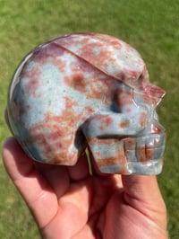 Image 4 of Ocean Jasper Skull #1760