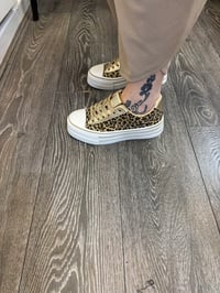 Image 1 of Louisa Trainer