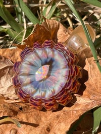 Image 6 of Firebird