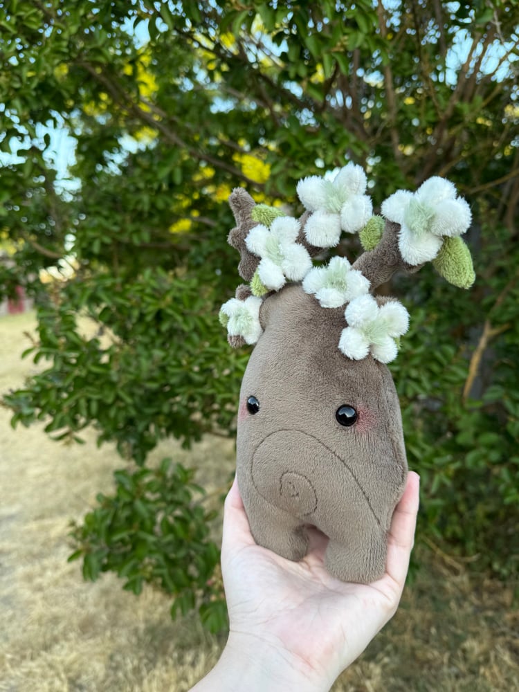 Image of dogwoodtree