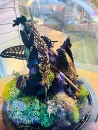 Image 3 of Multi Bug Terrarium 