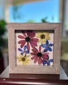 Red Cone, Delphinium And Maximillian Sunflower Wildflowers In 6" X 6" Shadow Box (Item# 202213S)