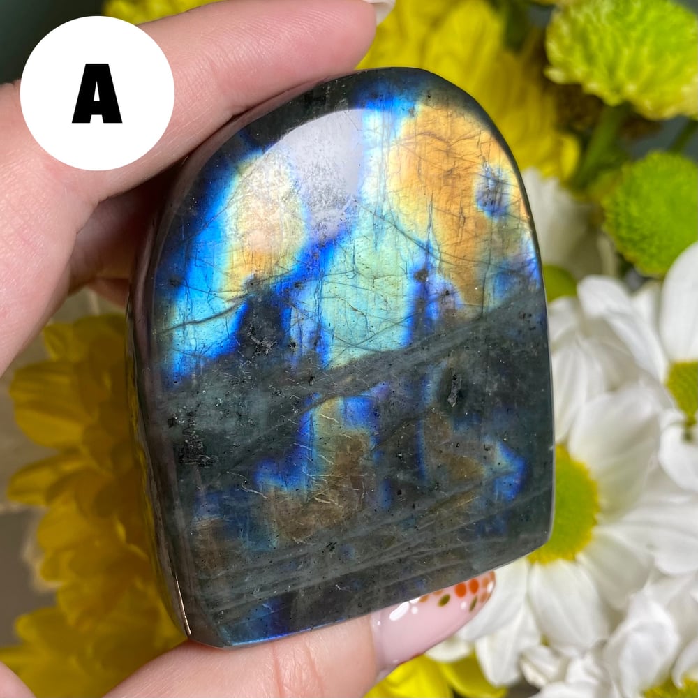 Image of Labradorite Freeform (small)