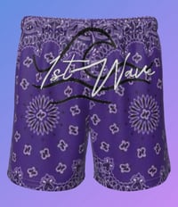 Image 22 of The Bandanna Collection 
