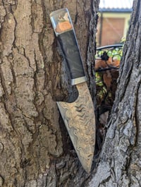 Image 2 of Captured Fairy on Snail Tiger Mai Chef 