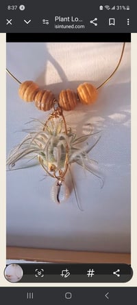 Image 3 of Air Plant Necklace with Wooden Beads