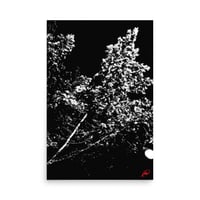 In The Night Poster - 24'' X 36''