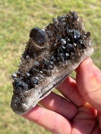 Image 19 of Smoky Quartz Crystal Points Cluster | Brazil #2971
