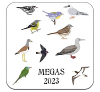 Image 3 of Megas 2023 