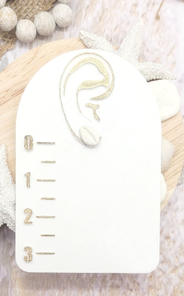 Image of Cowrie Shell Studs