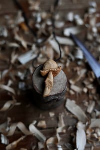 Image 1 of Cherry Wood mushroom 