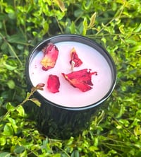 Image 1 of Daisy Candle 7.8oz