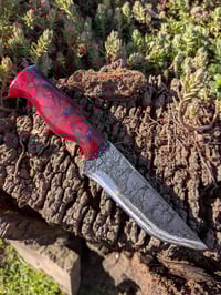 Image 1 of RUBY TANTO