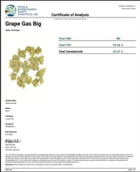 Image 4 of Grape Gas ~ Smalls (100% THCa Hemp)