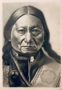 portrait of seated bull