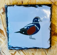 Image 3 of UK Birding Slates - Square Coasters (9cm) - Various Designs Available 