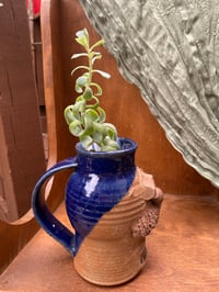 Image 2 of Blue Echeveria in Handmade Pittsburgh Man Mug