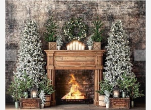 Image of Christmas Mini Sessions-Day 3