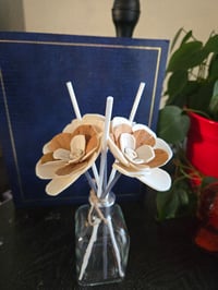 Image 5 of Fall Collection: Hazelnut Mix
