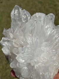 Image 4 of Clear Quartz Points Cluster #2256