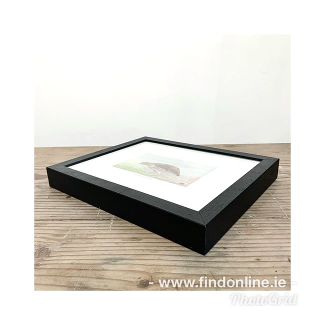 Framed and mounted antique book plate. 