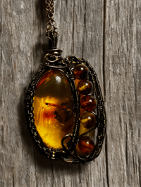 Image 1 of Amber with Beads