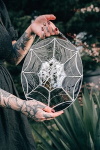 Image 1 of Spider Web