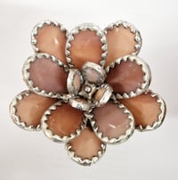 Image 4 of Stained Glass Rounded Leaf Pinky/Purple Succulent 