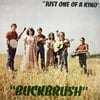 Buckbrush - Just One Of A Kind
