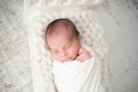 Image 3 of Standard Newborn Session 