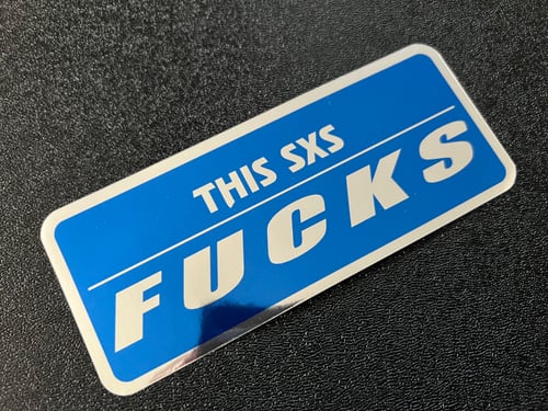 Image of This SXS FUCKS Sticker