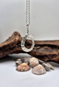 Image 2 of Open Limpet Shell Necklace 