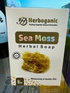Herboganic Sea Moss Herbal Soap - 5 oz