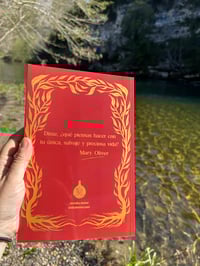 Image 5 of ALQUIMIA EMOCIONAL LIBRO 