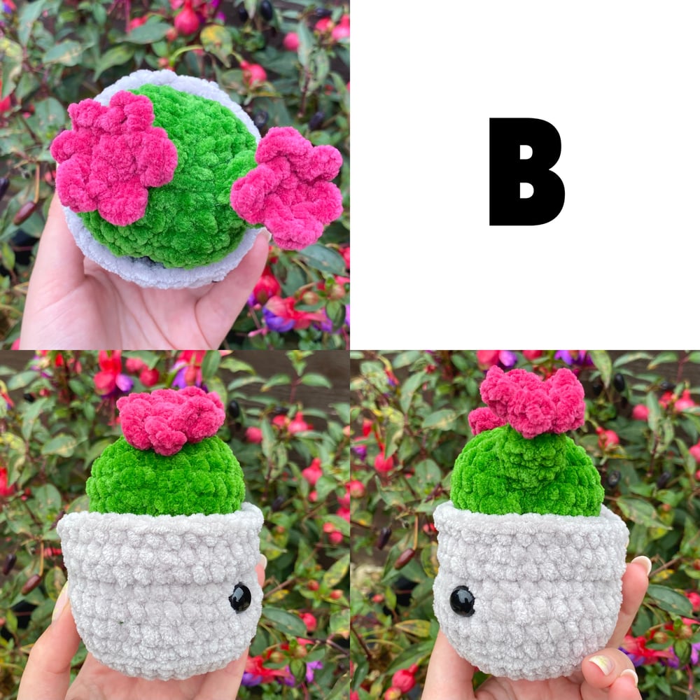 Image of Crochet Plants