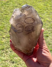 Image 5 of Smoky Quartz Enhydro Multi Terminated Crystal | Zambia #2966 