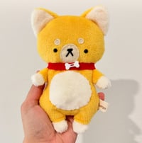 Image 1 of Shiba Baby