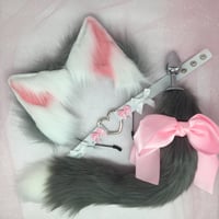 Gray / white cutie Kitten 