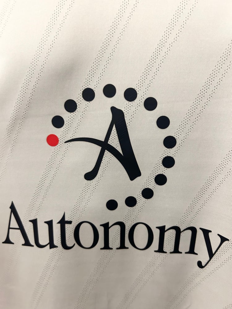 Image of Tottenham Hotspur “MODRIĆ 14” 2010/11 Home Shirt + patches (L)