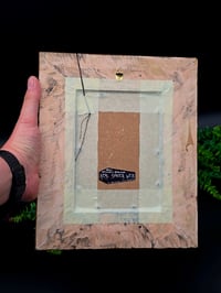 Image 3 of Beautiful Ornate vintage  Framed preserved Web