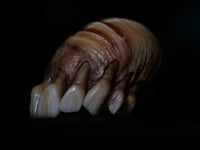 Image 18 of Dental Snull sculpture- blonde bone color, OOAK