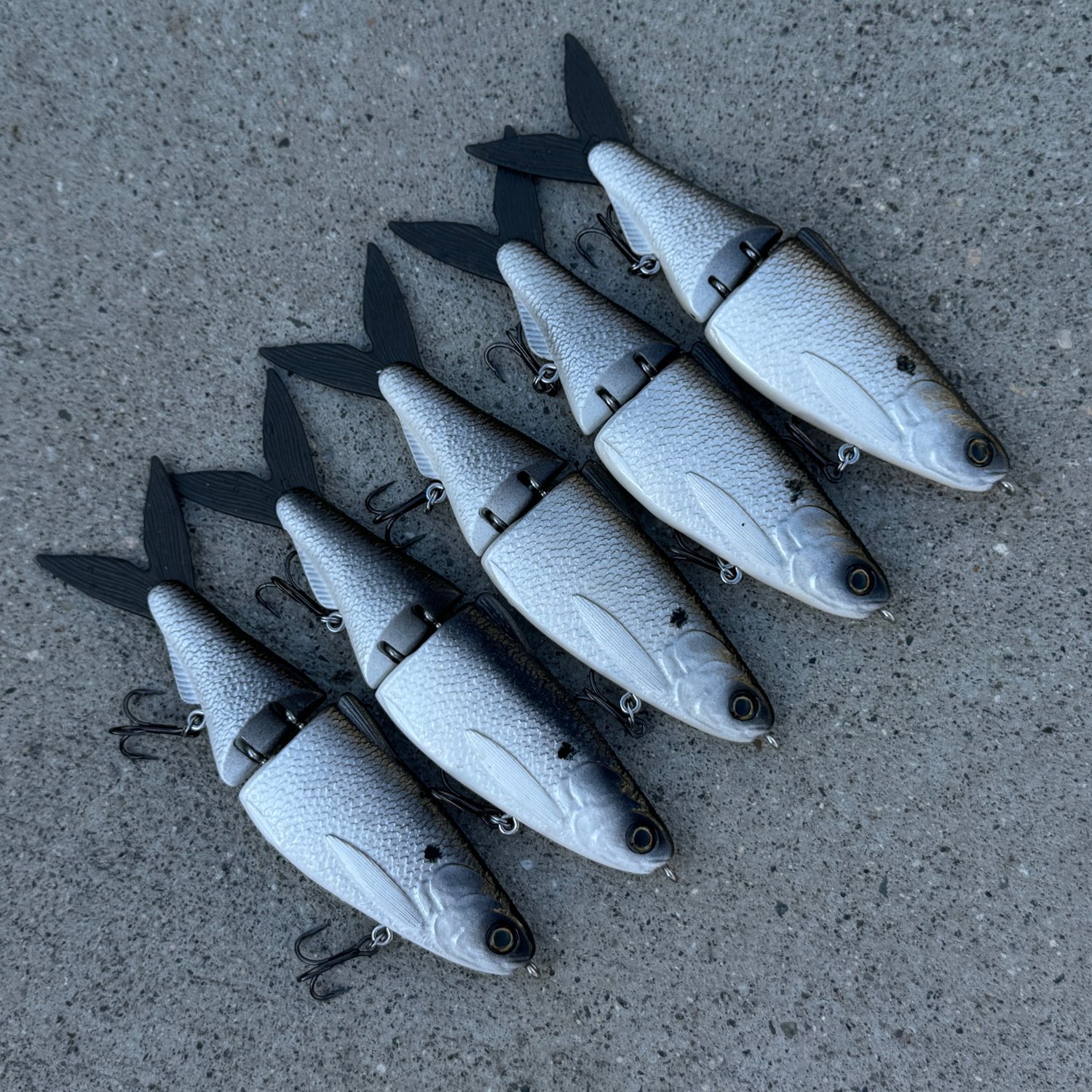 Image of 7inch Shad