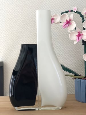Duo Vases En verre Silea 