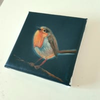 Image 2 of Robin 3