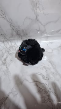 Image 2 of Black cat Fluffenscale 