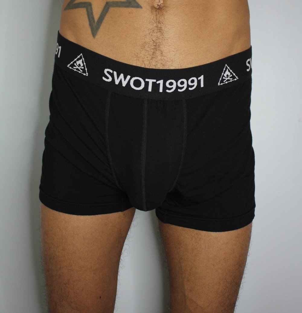 19991 BRIEF
