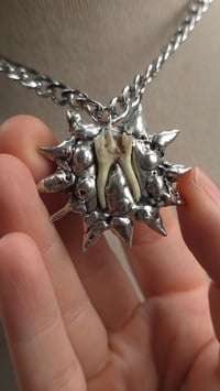 Image 2 of Sheep tooth star chunky statement necklace